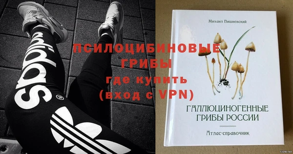меф Арсеньев