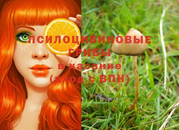 меф Арсеньев